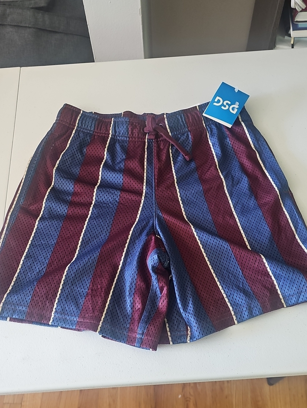 DSG Boy's Blue and Burgundy Vertical Stripe Athletic Shorts
